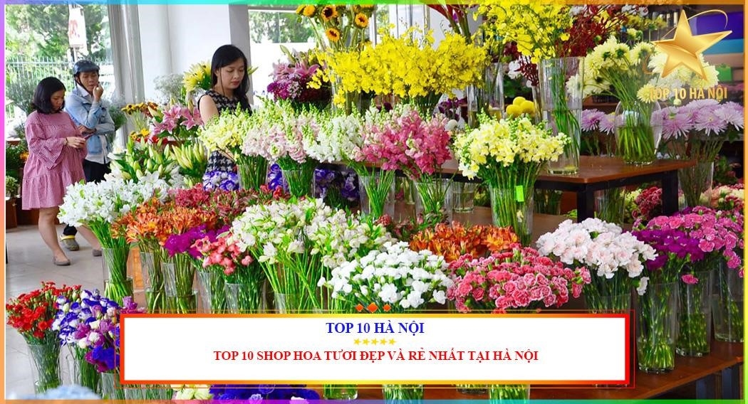 Top 10 shop hoa Hà Nội xếp theo giá và độ đẹp